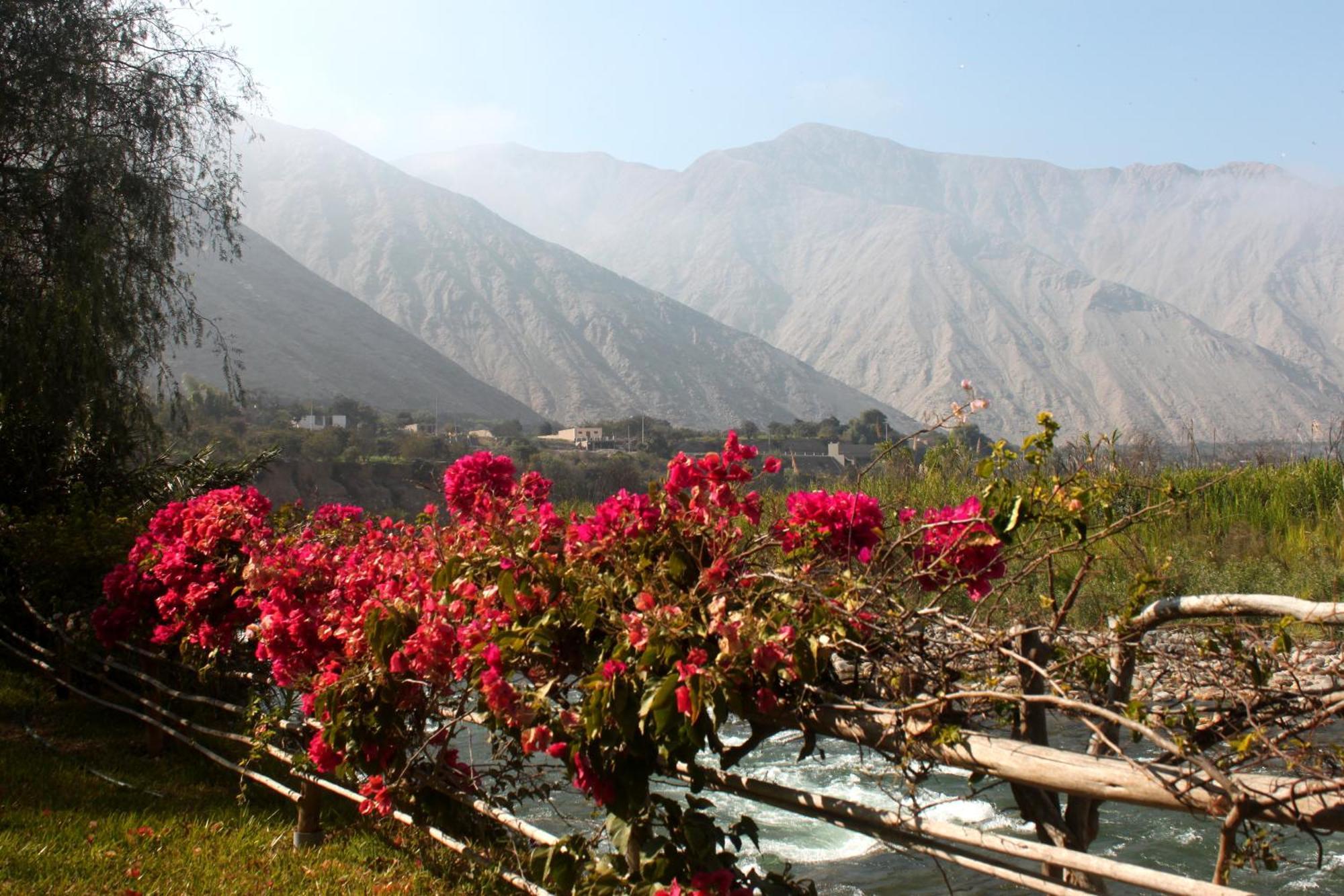 Hotel Los Palomos 루나후아나 외부 사진