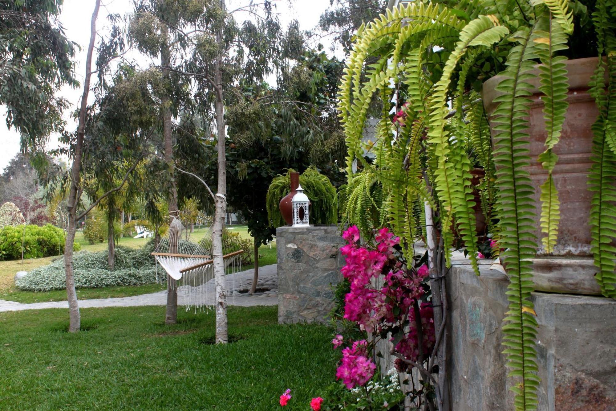 Hotel Los Palomos 루나후아나 외부 사진