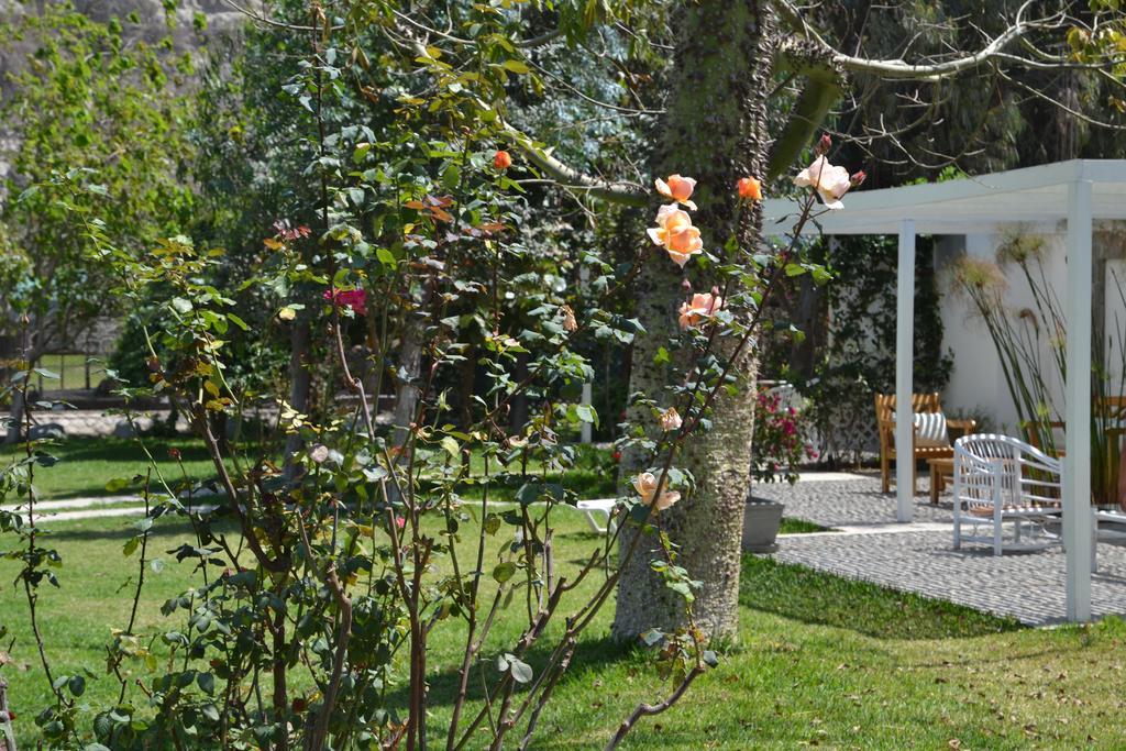Hotel Los Palomos 루나후아나 외부 사진
